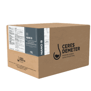NANO B